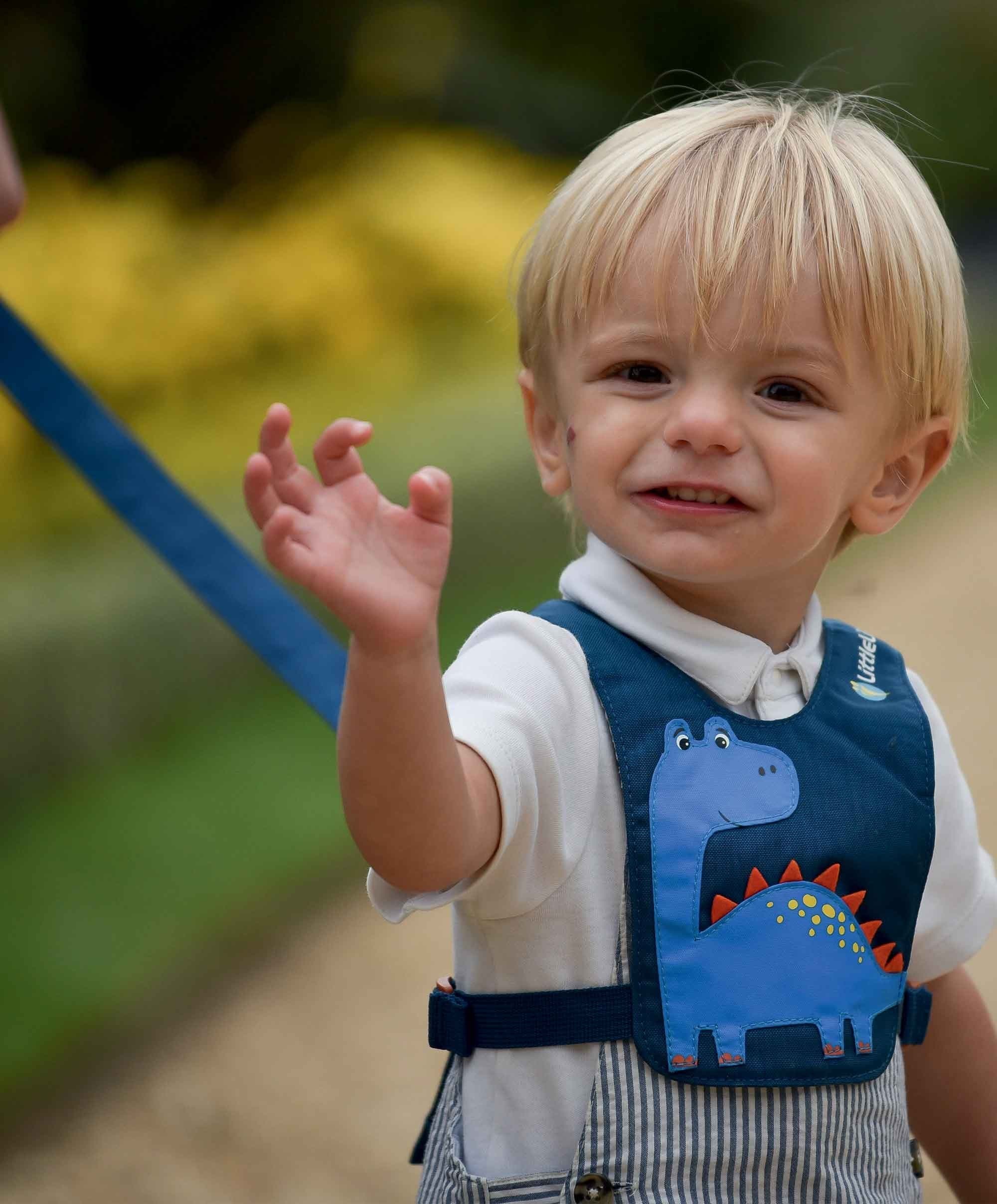LittleLife Toddler Reins - Dinosaur - Image 2